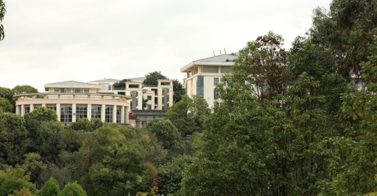 Biophilic Design in Urban Spaces: Innovative Integration of Nature with Modern Interiors